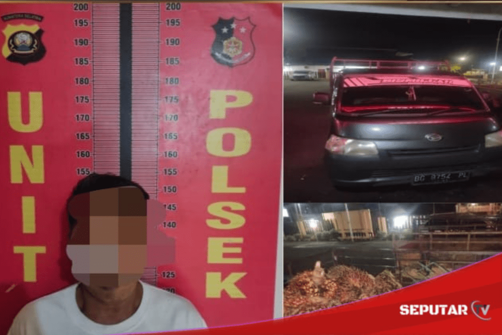 Polsek Talang Ubi Ungkap Kasus Pencurian Sawit, Satu Aktor Intelektual&nbsp;Diamankan