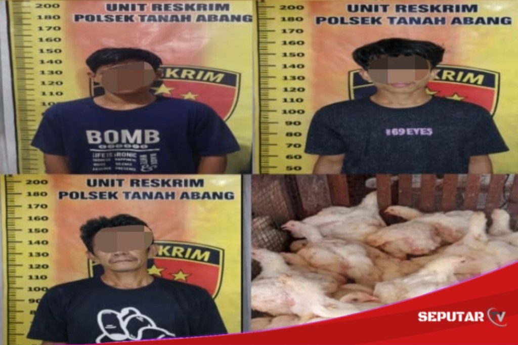 Modus Lancarkan Ternak Ayam, Tiga Pemuda Di Pali Digelandang&nbsp;Aparat