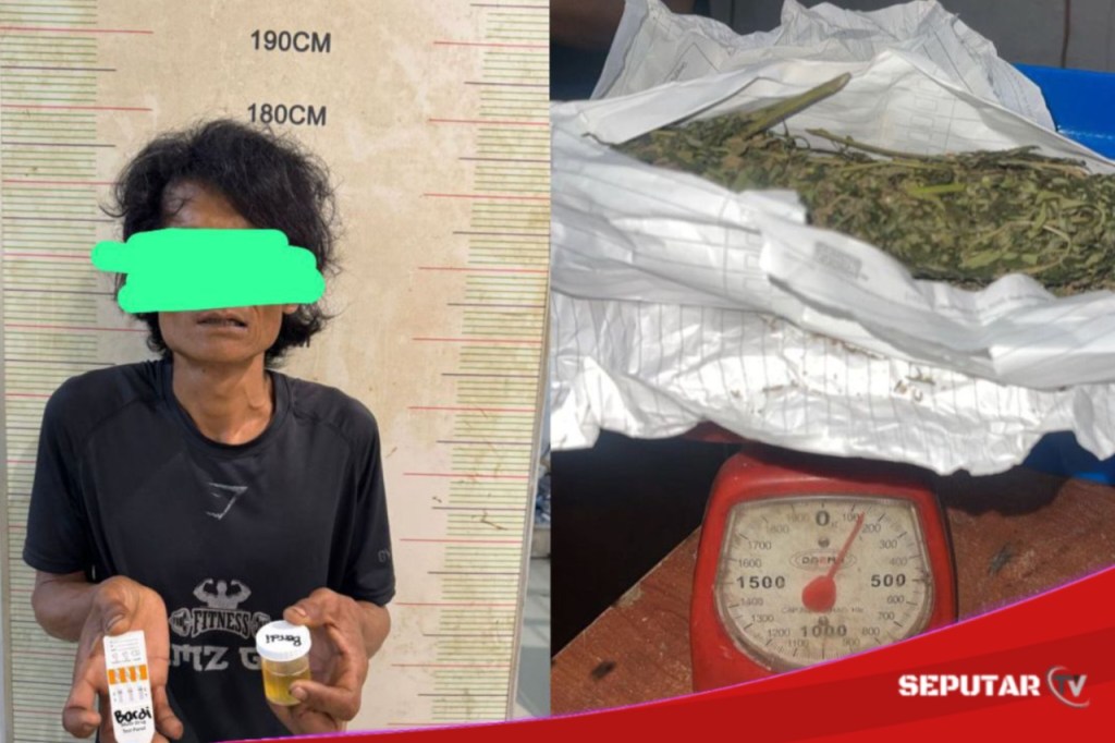 Nekat Bawa Ganja, Pria Di Paiker Empat Lawang Di Gelandang&nbsp;Petugas