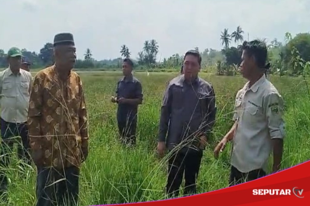 Demi Masyarakat, M.Oktafiansyah Rela Berpanas Panasan Di Lahan Padi yang Tidak&nbsp;Aktif